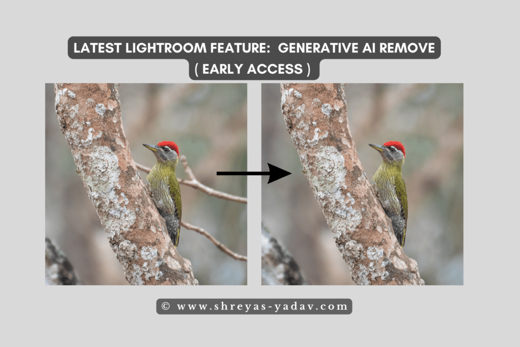 Generative-AI Remove tool in Lightroom 