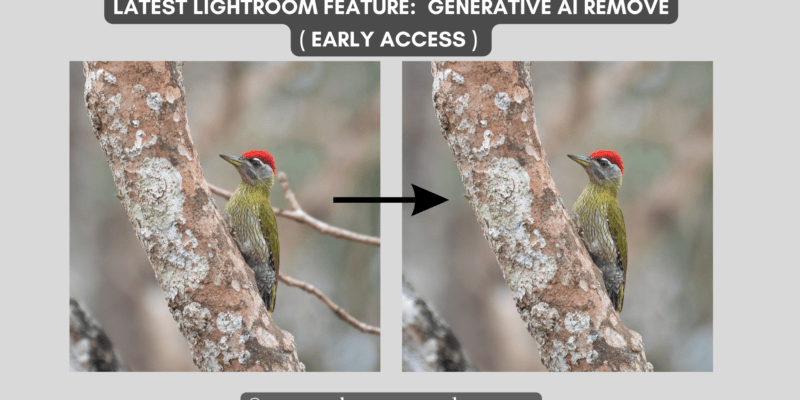 Generative AI Remove tool In Adobe Lightroom