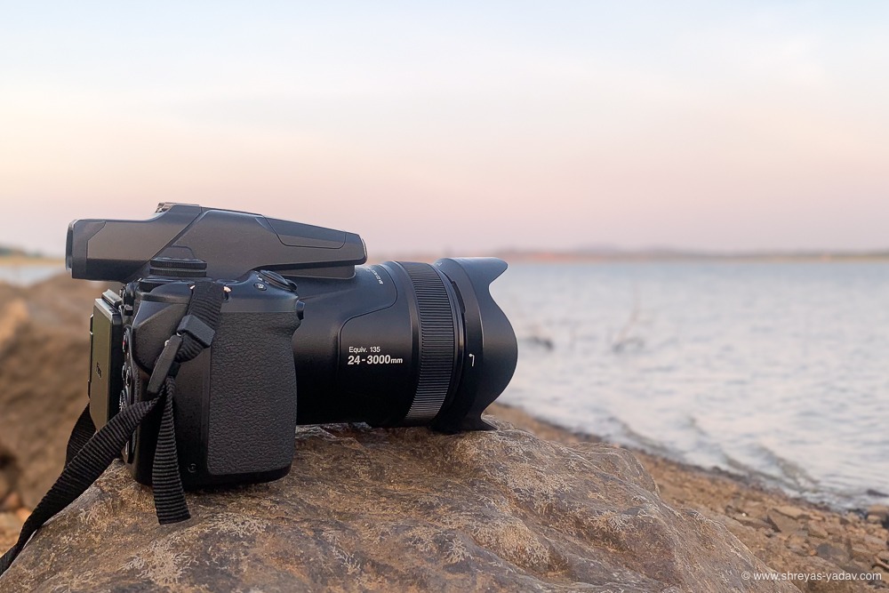 best camera for wildlife photography