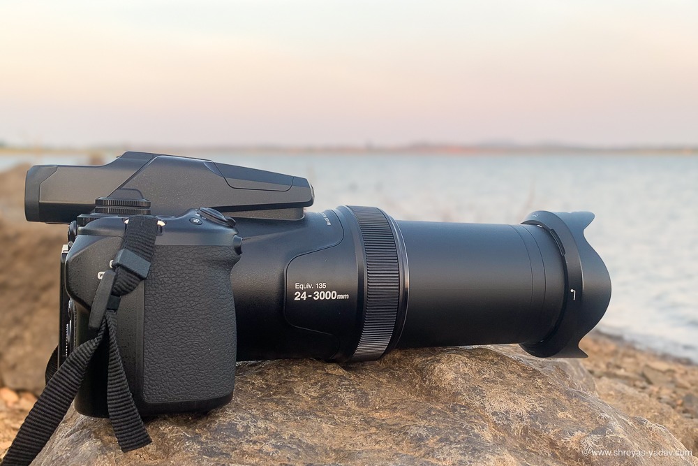 best camera for bird photography