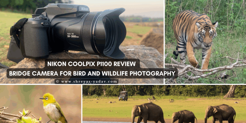 Nikon Coolpix P1100