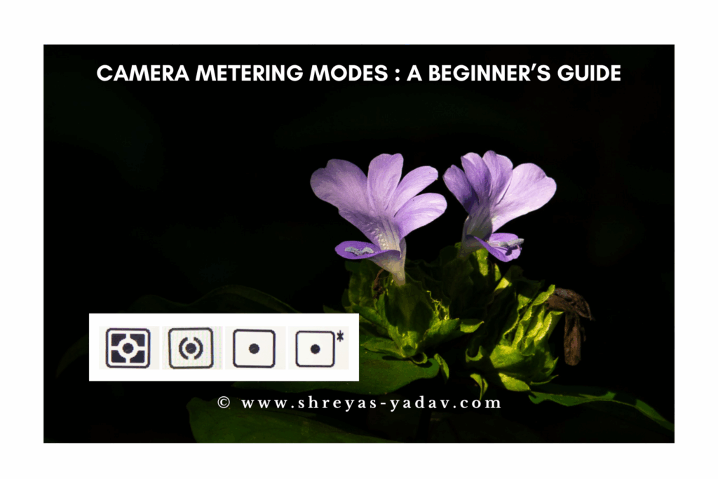 Camera metering